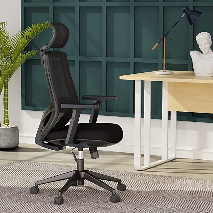 Tribesigns Ergonomic Chair