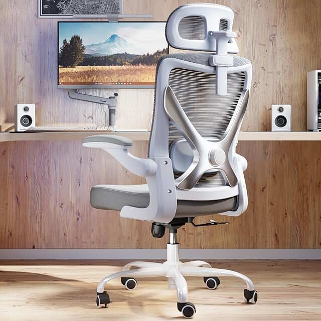 Ergonomic Office Chair